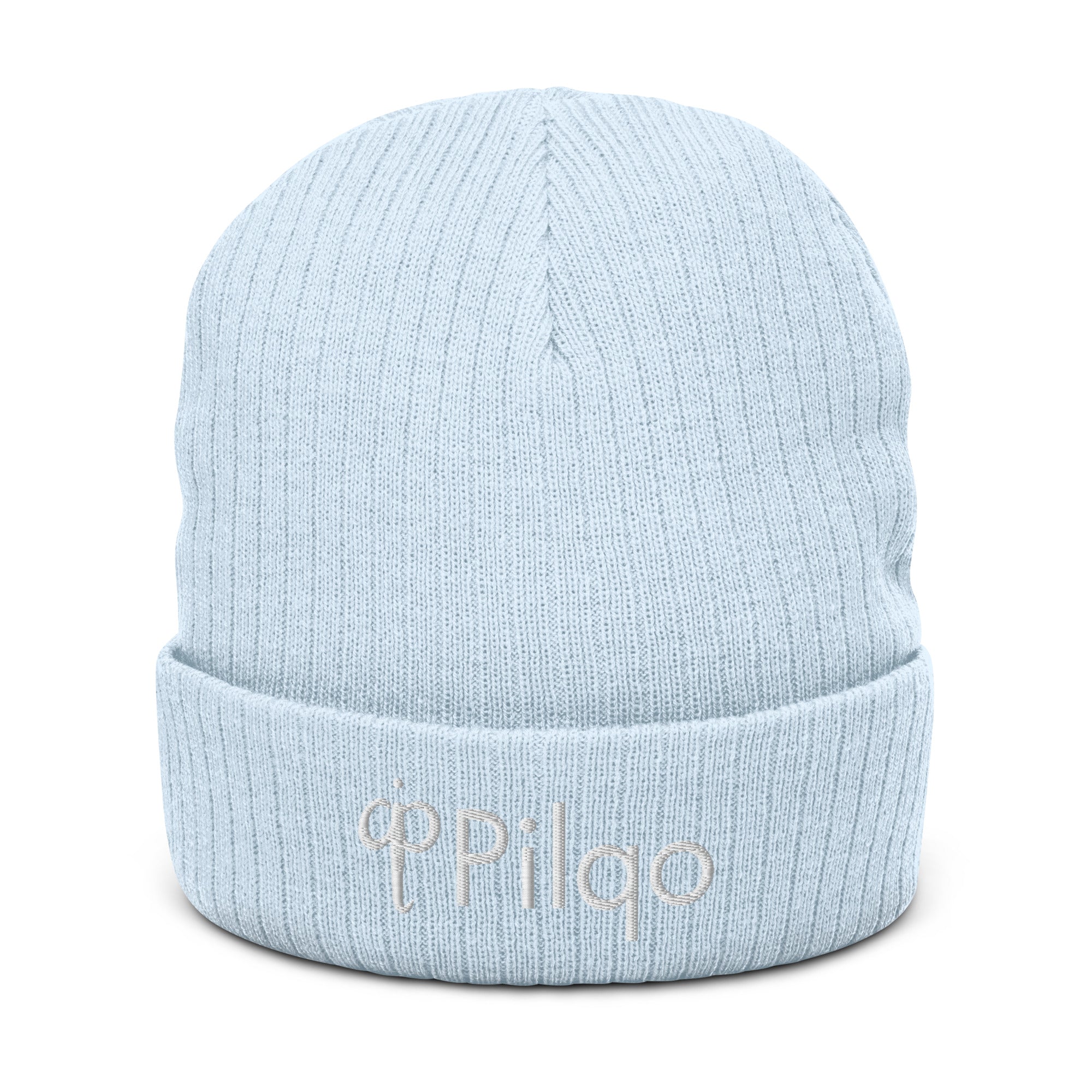 Ribbed knit beanie with 3D logo