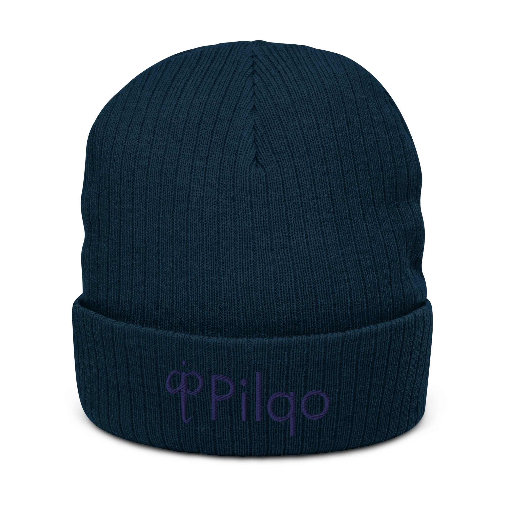 Ribbed knit beanie with 3D logo