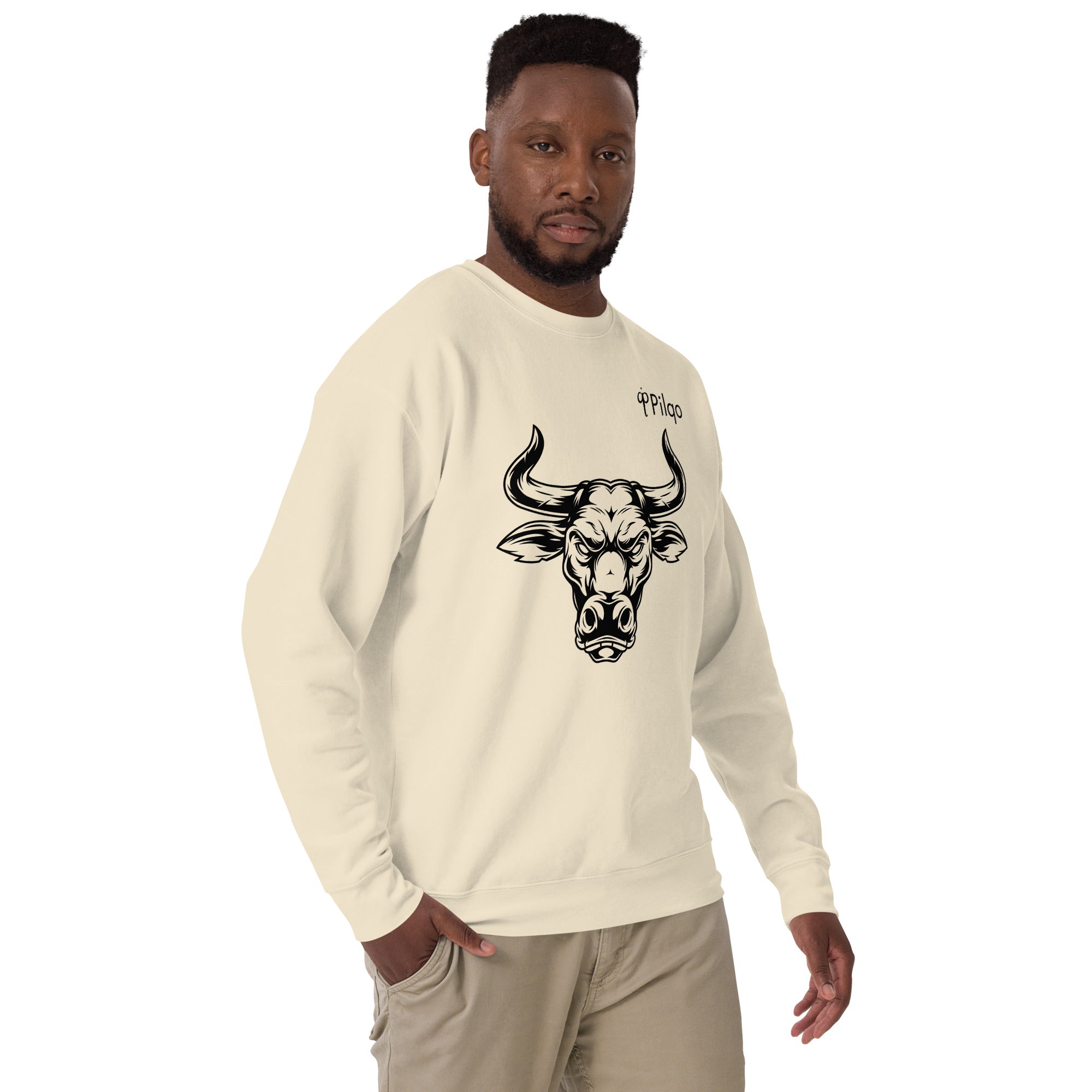 Premium sweatshirt with graphics and logo