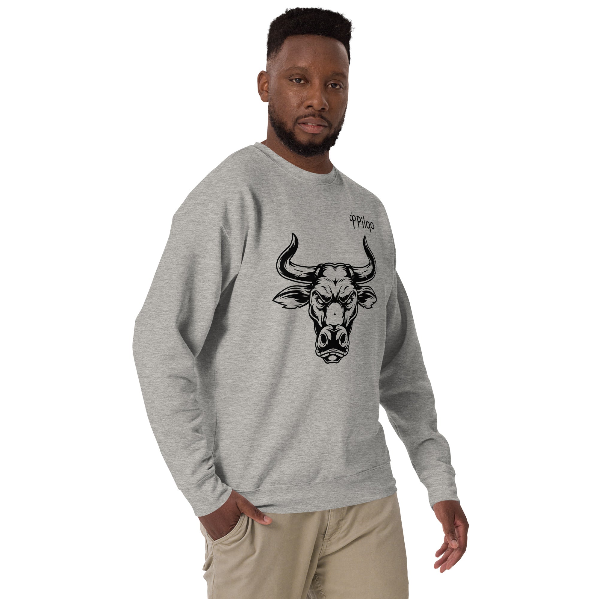 Premium sweatshirt with graphics and logo